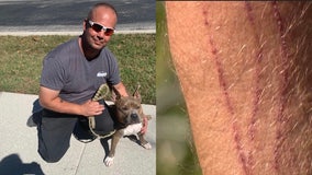 Florida man fights off bobcat to save dog: 'I ripped him off'