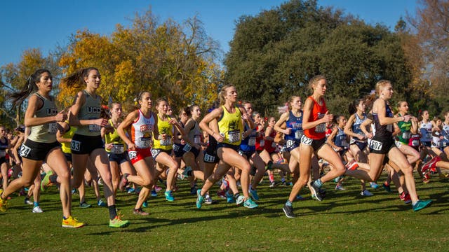 Florida high school sports officials reconsider menstrual questions