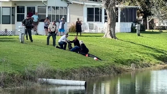 FWC: Alligator that killed Florida woman went after dog, then grabbed woman's foot