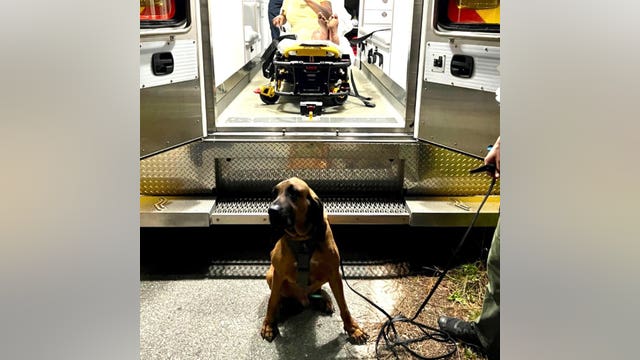 Florida K-9 finds 76-year-old woman lost in woods after 20 hour search