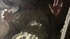 Florida man hides in insulation debris to evade arrest for alleged burglary: 'Stuck in an itchy situation'