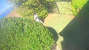 Florida sheriff looking for boater who used yard as bathroom