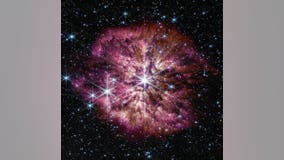 James Webb Space Telescope captures rarely seen view of supernova start with explosion of cosmic dust
