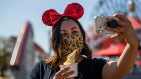 Celebrate the 40th anniversary of DOLE Whip: Walt Disney World introduces new DOLE treats to parks