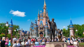 Disney Global Ride Challenge: Man completes goal to visit 12 parks in 12 days, riding 216 attractions