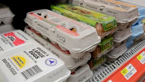 Egg prices still up 55% over last year despite slight reduction in February