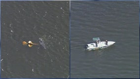 4 dead after 2 planes collide over Lake Hartridge in Winter Haven