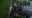 Photos: Alligator seems to be having a good time eating another alligator at Orlando park