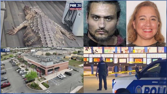 FL man shoots gator attacking dog • 4 dead after planes collide in FL • FL Hibachi restaurant explosion