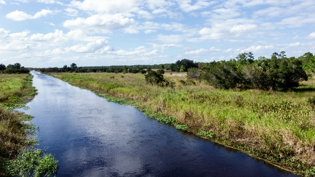 Florida fishermen find hand in canal, but it didn't belong to a human