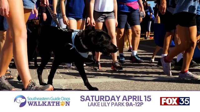Join FOX 35 at the 2023 Southeastern Guide Dogs Walkathon