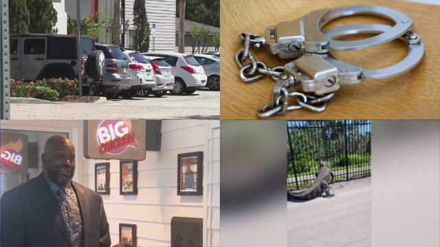 New Orlando restaurant opening • 8-year-old cuts child's throat: Deputies • FL gator rips through metal fence