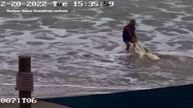 Indian Harbour Beach adopts new ordinance after man is accused of killing shark