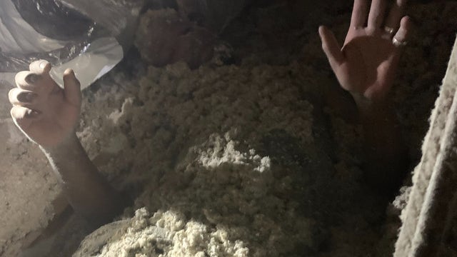 Florida man hides in insulation debris to evade arrest for alleged burglary: 'Stuck in an itchy situation'