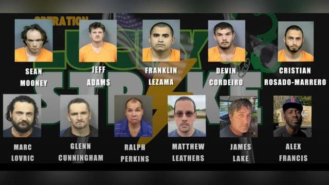 Florida undercover operation leads to arrest of 12 men in connection with alleged sexual activity with minors