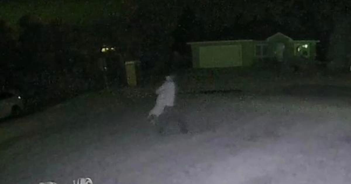 Florida teen accused of beating dog after it ran away | FOX 35 Orlando