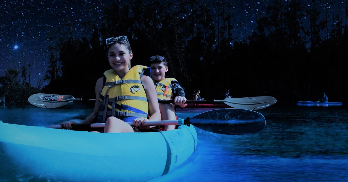 3 places to go bioluminescent kayaking in Central Florida | FOX 35 Orlando