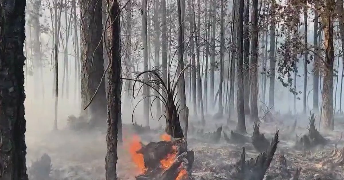 Brush fires continue to ignite across Central Florida as dry heat ...