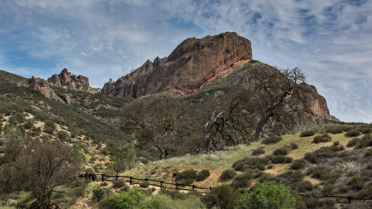 Here are the most popular national parks for birdwatching this spring - Vimarsana News