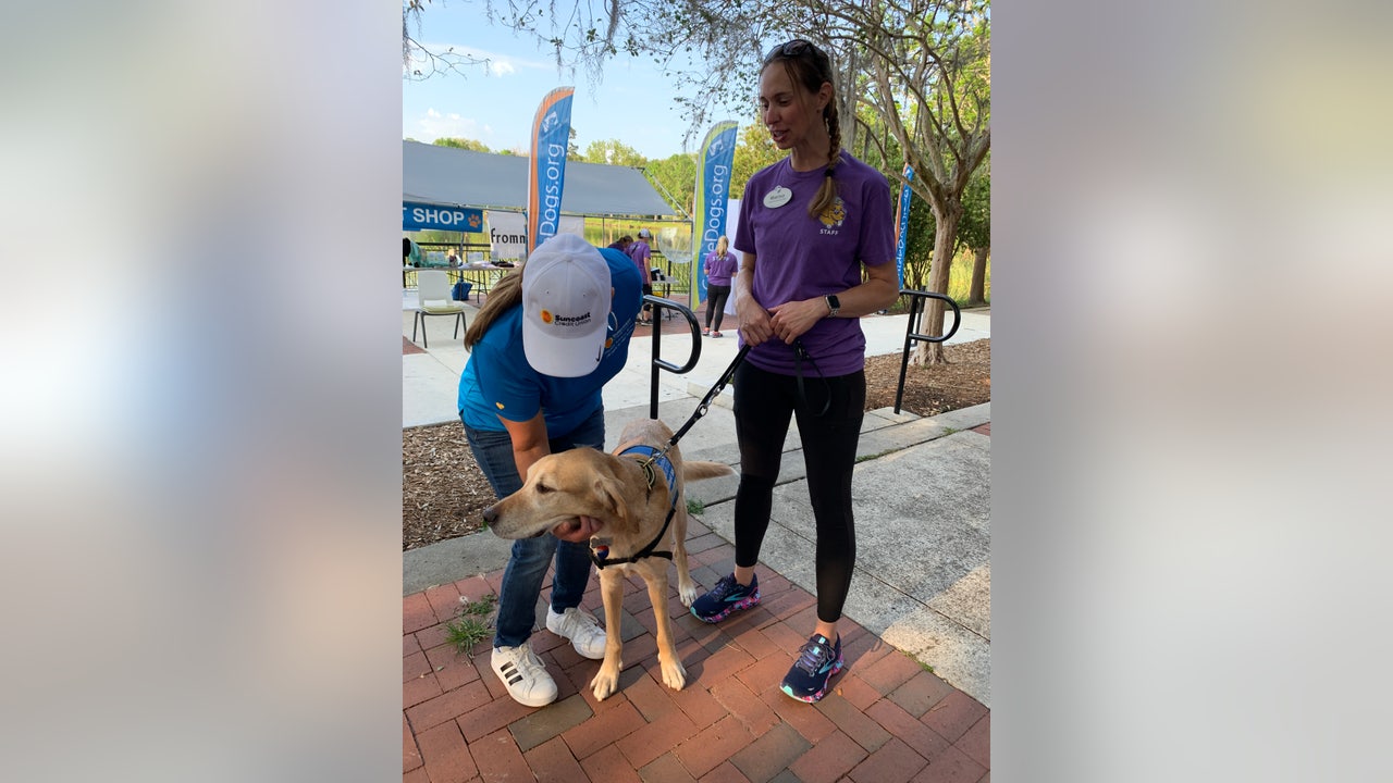 Guide dog group raises money during walkathon at Maitlands Lake Lily Park Guide dog group raises money during walkathon at Maitlands Lake Lily Park