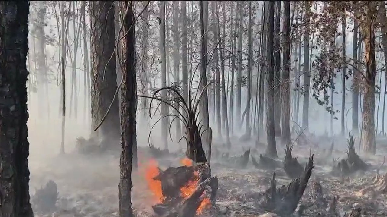 Brush Fires Continue To Ignite Across Central Florida As Dry Heat ...