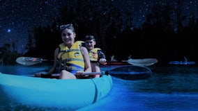 3 places to go bioluminescent kayaking in Central Florida