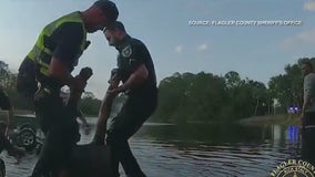 Florida first responders, bystanders work together to rescue man from sinking car