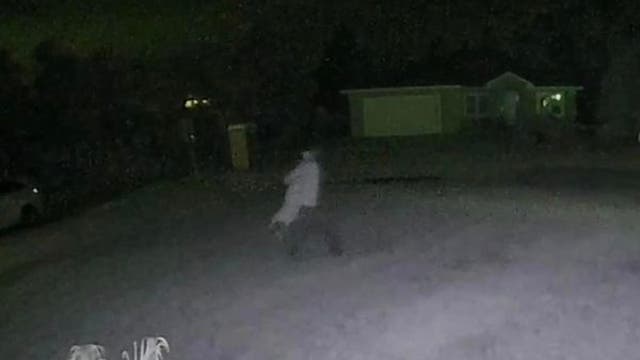 Florida teen accused of beating dog after it ran away