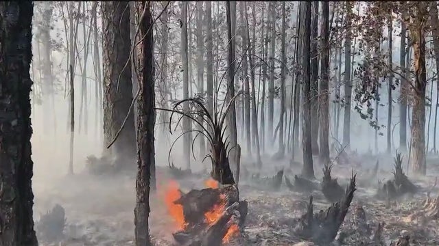Brush fires continue to ignite across Central Florida as dry heat continues