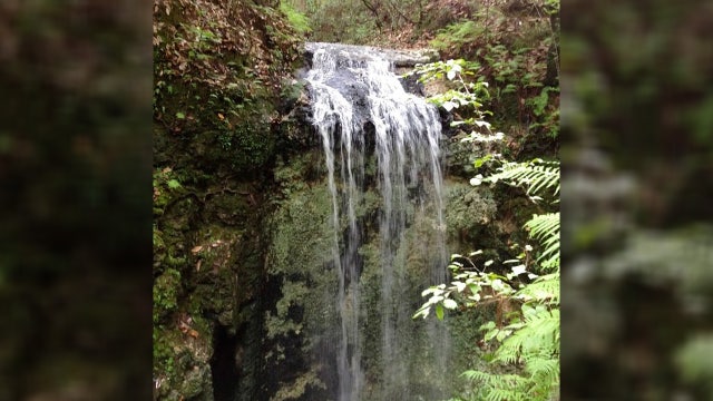 6 secret waterfalls in Florida that are worth chasing