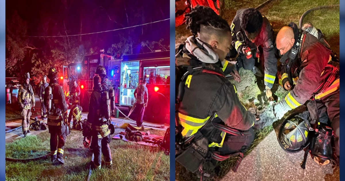 Florida firefighters give dog oxygen, save pup from fire | FOX 35 Orlando