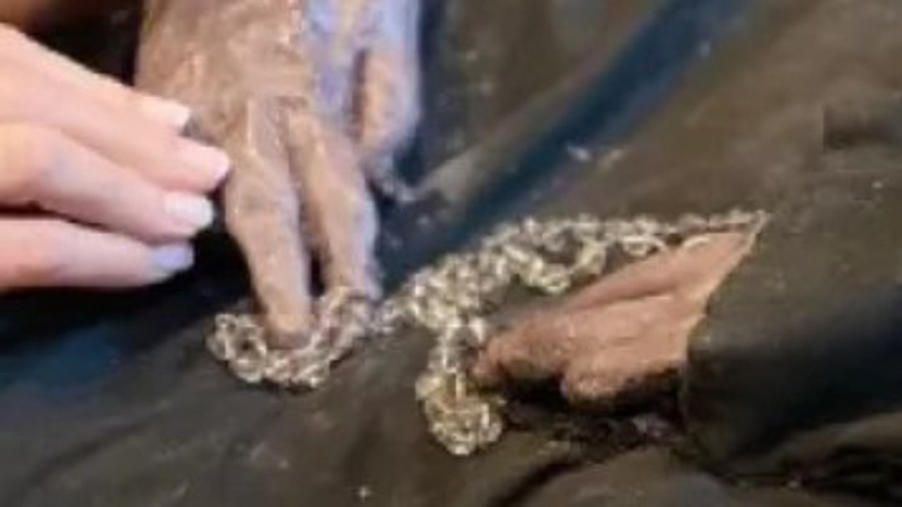 Missouri miracle? Photo shows nun’s body still intact nearly 4 years ...
