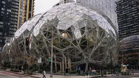 Hundreds of Amazon workers protest company's climate impact, return-to-office mandate