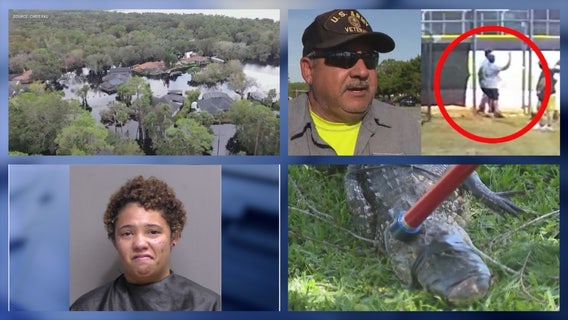 FL woman punches deputy • Parent knocks out FL umpire during game • Woman throws wine at FL politician