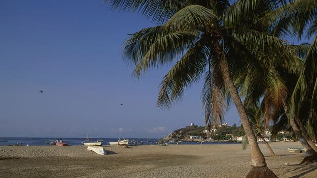 Tourist shot to death in popular Mexican resort town days after another tourist killed in machete attack