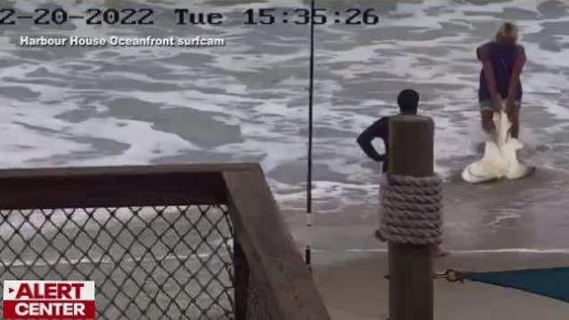 Man pleads not guilty to beating shark on Brevard County beach