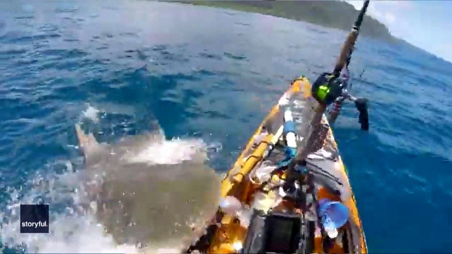 Tiger shark attacks kayaker off Hawaii coast: 'Mistook me for the seal