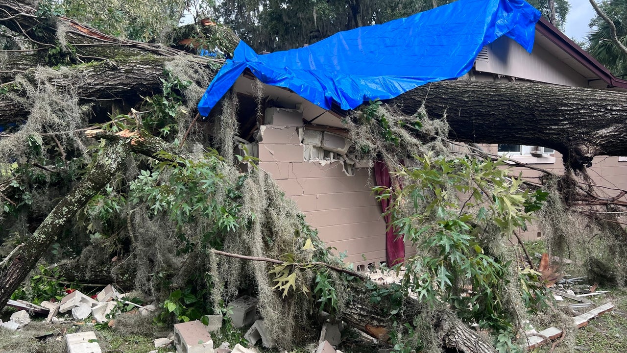 Child rescued after giant tree falls onto Ocala home while family slept fire rescue says