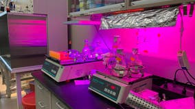 Florida Tech researcher awarded $50,000 grant to study food production in space