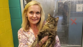 Missing cat reunited with Florida family after 11 years: 'We are so happy'