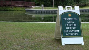 Orange County Rock Springs closed due to gator activity