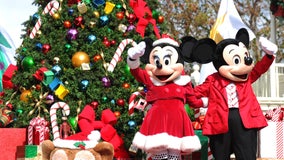 Walt Disney World's newest holiday party brings back iconic characters, features all-new stage show