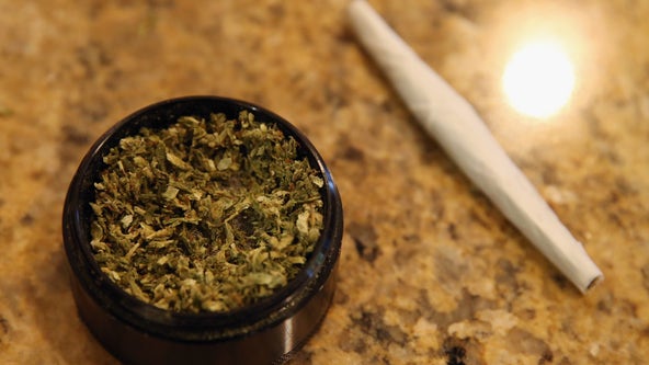 Trulieve adds $5M to recreational marijuana campaign in Florida