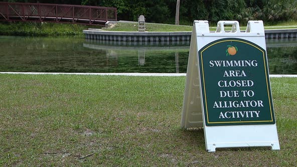 Orange County Rock Springs closed due to gator activity