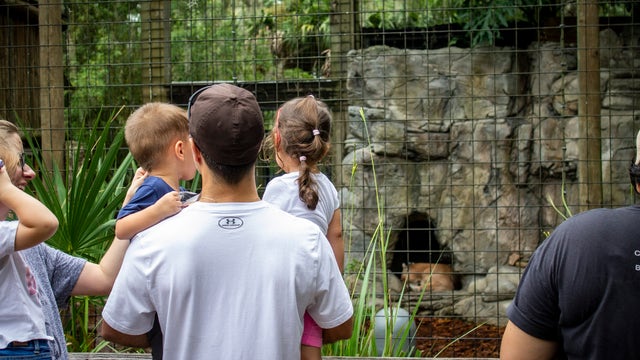 Need weekend plans? Check out these 5 events you won't want to miss in Central Florida