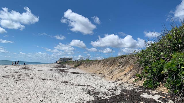 Metal poles poping up along Florida beach dunes helping to read ocean currents