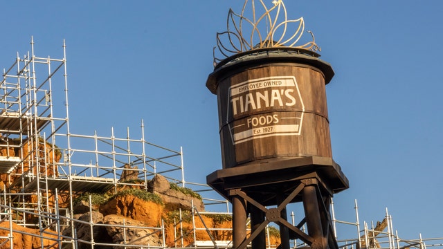 Disney installs centerpiece for new Tiana's Bayou Adventure attraction