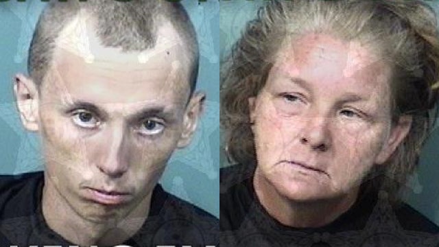 Florida woman intentionally reversed car into man in wheelchair during robbery: affidavit