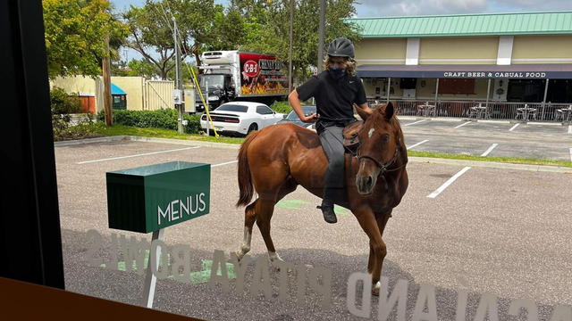 Florida man takes unconventional ride through Starbucks drive-thru on horseback