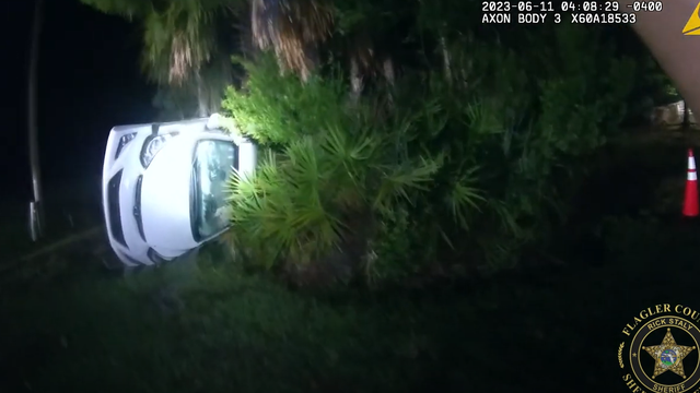 Florida teen takes joyride in stolen car, topping 100 mph before crashing near some woods, deputies say